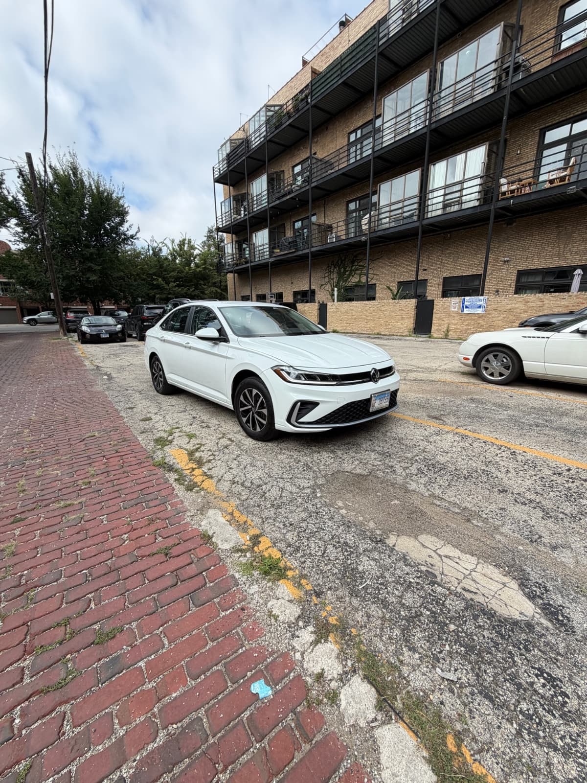 Volkswagen Jetta - Image 2